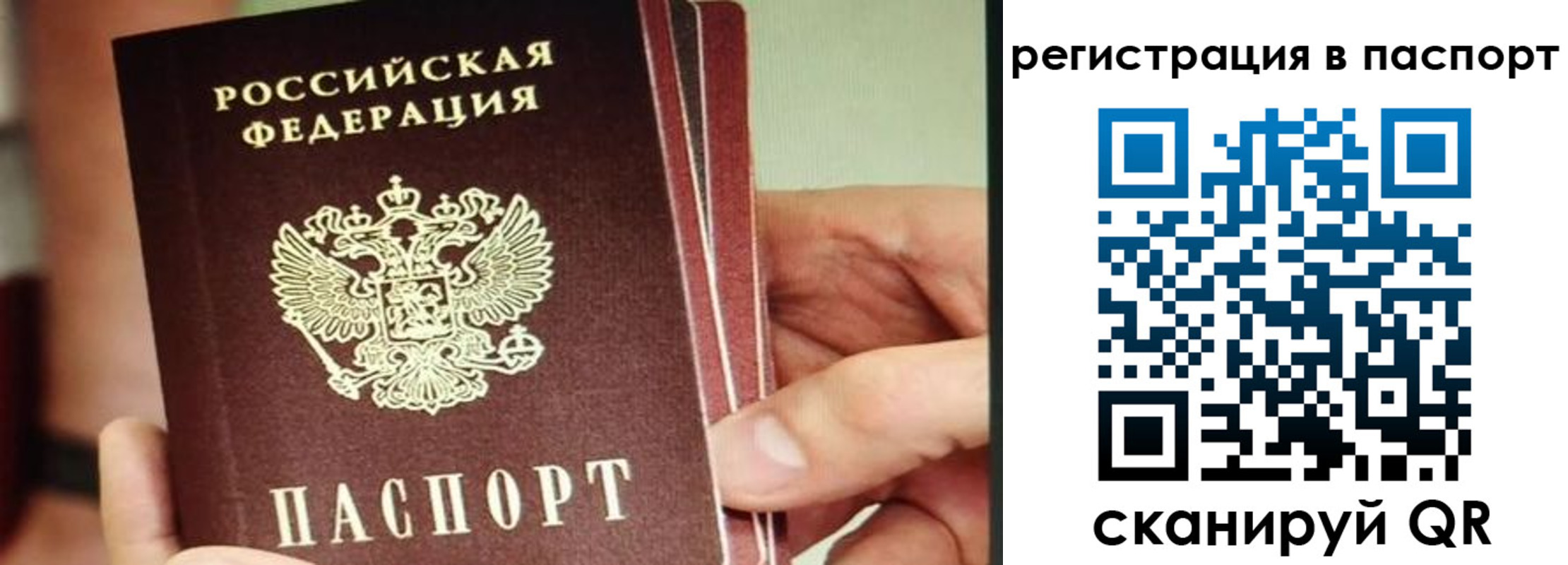 временная регистрация надежно в Ельце